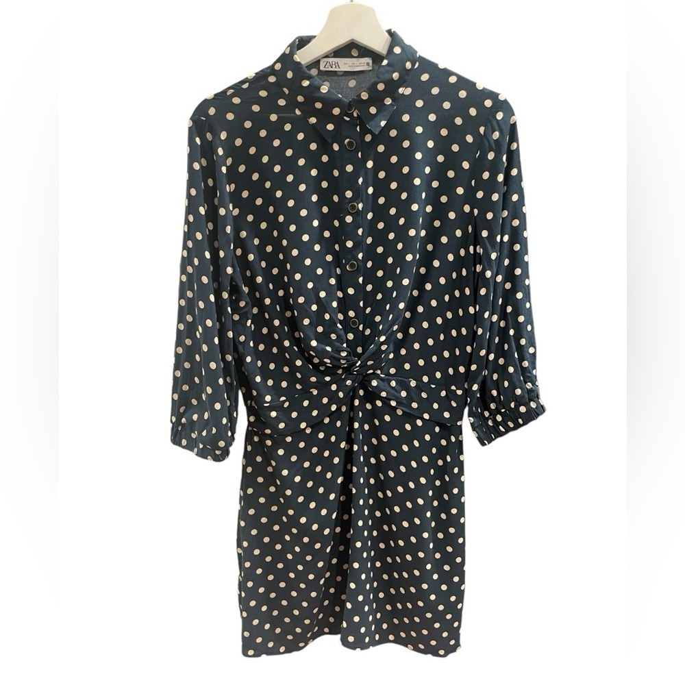 Zara Polka Dot Dress